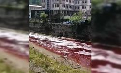 Rize'de kurban kanları dereyi ve denizi kırmızıya boyadı