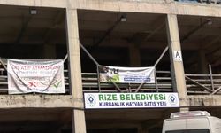 Rize’de kurban satışı durma noktasında... Besiciler Diyanete ve tarım politikalarına tepkili