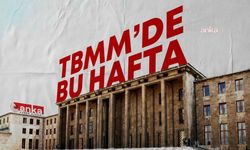 TBMM’de bu hafta… Genel Kurul’da, Başkanlık Divanı ile ihtisas komisyonları üyelerinin isimleri oylanacak