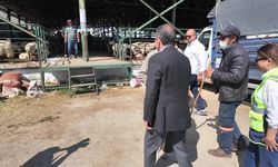 Tepebaşı Belediye Başkanı Ataç'tan kurban pazarına ziyaret 