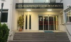Uluslararası İşgücü Genel Müdürlüğü, yabancı çoban ve hayvan bakıcısı çalışma izni başvurularının başladığını duyurdu