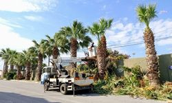 Urla’da bayram ve yaz  sezonu için yoğun mesai