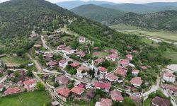 YEDAŞ’tan Sinop’taki leyleklere güvenli yuva