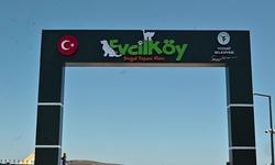 Yozgat’ta minikler, Evcil Köy'de fidan dikti, hayvanları sevdi, piknik yaptı