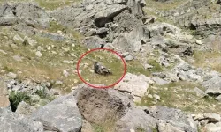 Batman’da Feci Kaza: Mahkeme Keşfinden Dönen Araç Şarampole Yuvarlandı