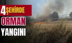 Türkiye alevlerle mücadele ediyor: Dört şehirde orman yangını