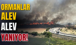 Türkiye'nin Dört Bir Yanında Orman Yangınları: Yazın İlk Alarmı