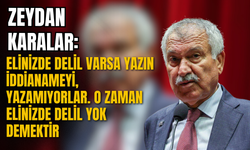 Zeydan Karalar, CHP'li belediyelere yapılan operasyonları eleştirdi