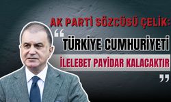 AK Parti Sözcüsü Çelik: "Türkiye Cumhuriyeti ilelebet payidar kalacaktır"