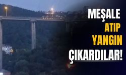Beykoz'da ormanlık alanda yangın paniği: İşaret fişeği şüphesi