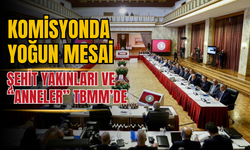 Komisyonda Yoğun Mesai: Şehit Yakınları ve Anneler TBMM’de