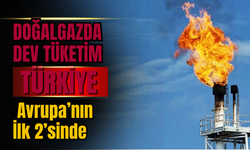 Avrupa’da Mayıs Ayında 24,2 Milyar m³ Doğalgaz Tüketildi: Türkiye’nin Payı %17’ye Ulaştı