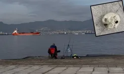 İzmir’de Balık Tutarken Dehşet! Oltasına İnsan Kafatası Takıldı