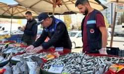 BALIK TEZGÂHLARINA SİNCAN BELEDİYESİ ZABITA EKİPLERİNDEN SIKI DENETİM
