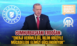 Erdoğan: “Enerji verimliliği, iklim kriziyle mücadelede elimizi güçlendiriyor”