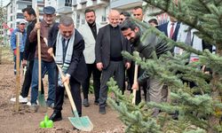 SİNCAN’DA ŞEHİT FİLİSTİNLİ GAZETECİLER İÇİN HATIRA ORMANI OLUŞTURULDU