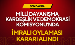 Milli Dayanışma, Kardeşlik ve Demokrasi Komisyonu'nda İmralı Oylaması Kararı Alındı