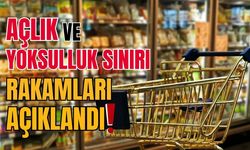 Açlık ve yoksulluk sınırı rakamları açıklandı