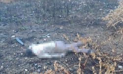 Kaza yapan araç otoyolda, sürücüsü 30 metrelik köprünün altında ölü bulundu