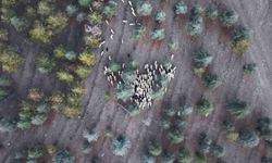 1 milyon 220 bin metrekarelik mera arazisinde 'imar planı' iddiası: Müfettişler incelemeye aldı