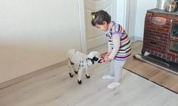 Annesinin reddettiği kuzuya 3 yaşındaki Ezo'nun şefkati yürekleri ısıttı