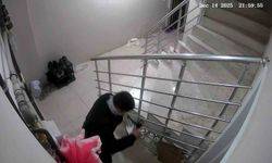 Apartmandan ayakkabı hırsızlığı kameraya yansıdı