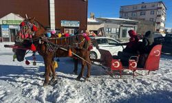 Atlı kızaklar donan göl için hazırlandı