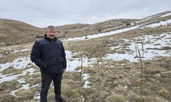 Babasıyla tartıştı, vadeli koyun alarak kendi sürüsüne sahip oldu