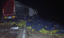 Beyşehir'de tır bariyerlere çarptı: 1 yaralı