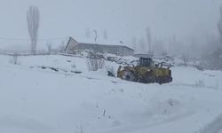 Beytüşşebap'ta eğitime kar engeli