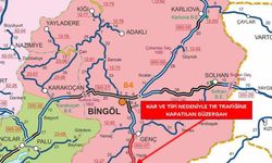 Bingöl-Diyarbakır yolu tır trafiğine kapatıldı