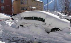 Bitlis'te kar esareti: 181 köy yolu ulaşıma kapandı