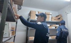 Bodrum'da halk sağlığı için sıkı denetim