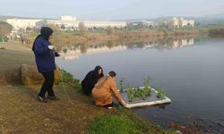 Botanik Bahçesinde 'Yüzen Adacıklarla Gölet Temizliği' yapılıyor
