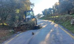 Büyükşehir Aydın'da altyapı çalışmalarına devam ediyor