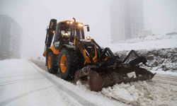 Canik'te karla mücadele
