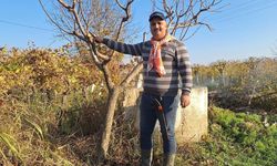 Çiftçinin mesaisi kışın da sürüyor