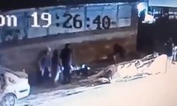 Demirtaş'ta başıboş köpek dehşetİ 3 kişi yaralandı