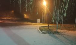 Denizli'nin yüksek kesimleri beyaza büründü