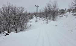 Elazığ'da kar başladı, 311 köy yolu ulaşıma kapandı