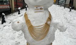 En 'değerli' kardan gelin