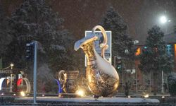 Erzincan'da kar yağışı