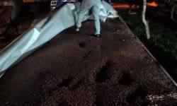 Fındıkla kamufle edilen tırdan 30 milyonluk kaçak makaron çıktı: 4 gözaltı