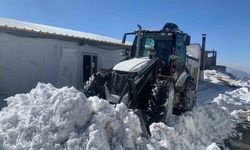 Hakkari'de 2 köy ve 10 mezra yolu kapandı