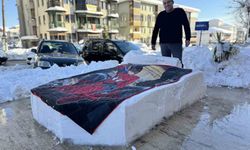 Herkes kardan gelin damat yaparken o yatak yapmayı seçti