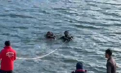 Kapıdağ'da kayıp Elif Kumal için aramalar genişletildi: Dalgıçlar su altında arama başlattı