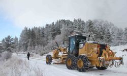 Kar ve kış Doğu'yu teslim aldı