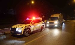 Kontrolden çıkan otomobil ağaca çarptı: 2 yaralı