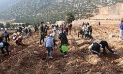 Korkuteli'nde 3 bin fidan toprakla buluştu