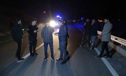 Malatya'da kaçan yarış atları karayoluna çıktı: 6 at telef oldu, 2 kişi yaralandı